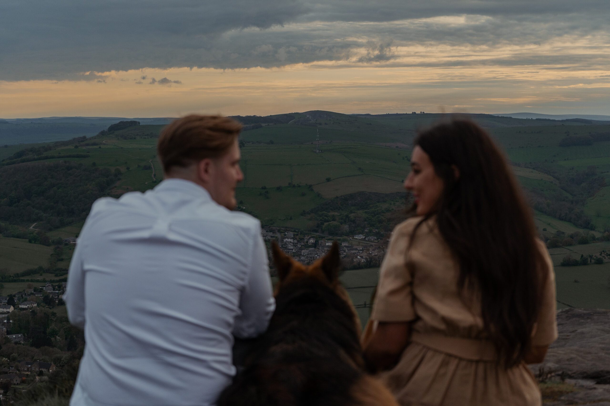 rosie, jake and buddy watching the sunset