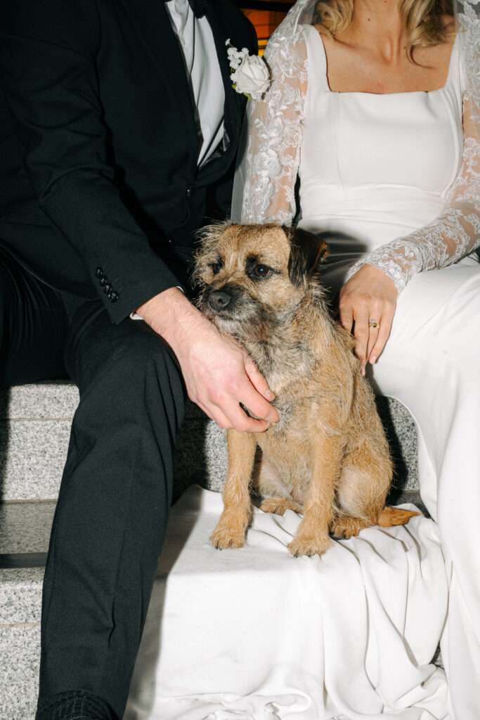 dayna, evan and their dog otter portraits at the hotel